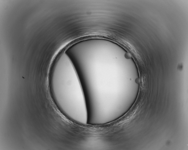 X0000100470780200806130754