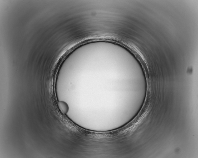 X0000100470781200806130754