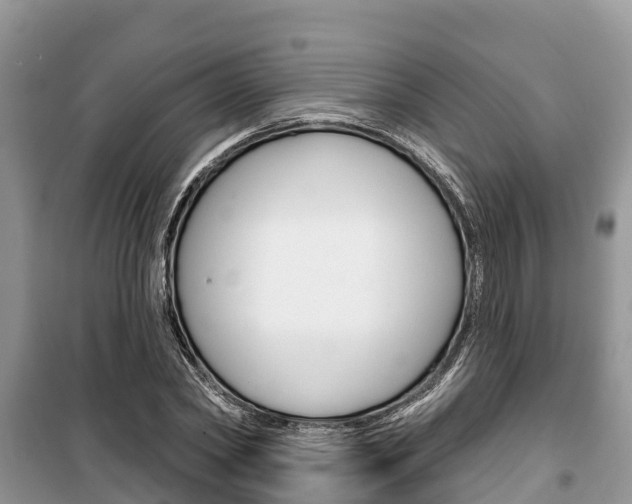 X0000100470782200806130754