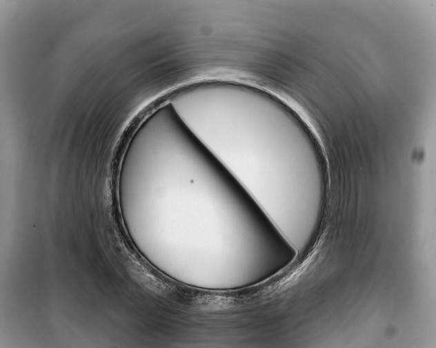 X0000100470783200806130754
