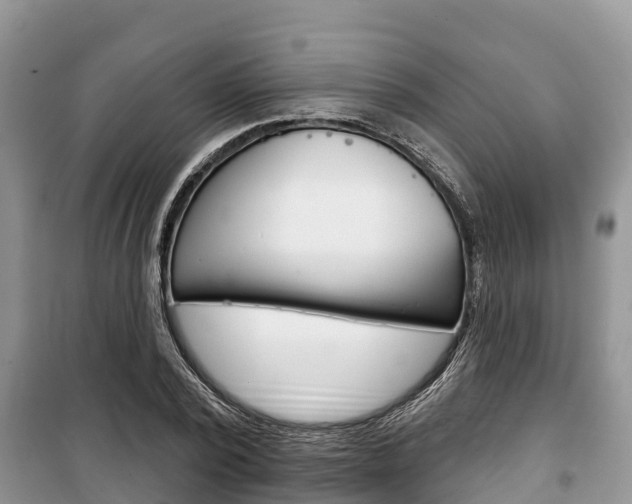 X0000100470784200806130754