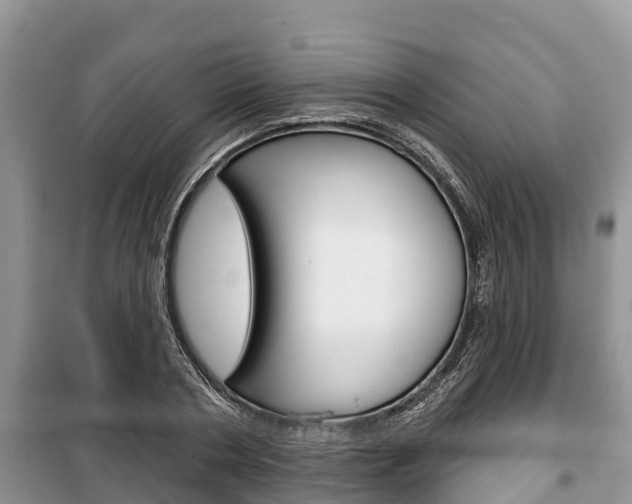 X0000100470786200806130753