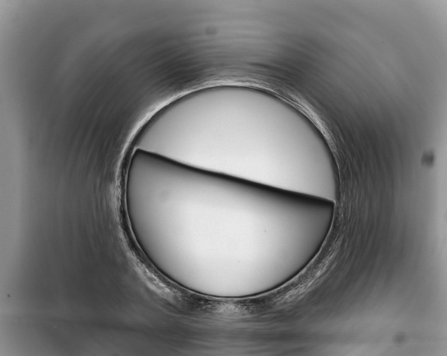 X0000100470787200806130753