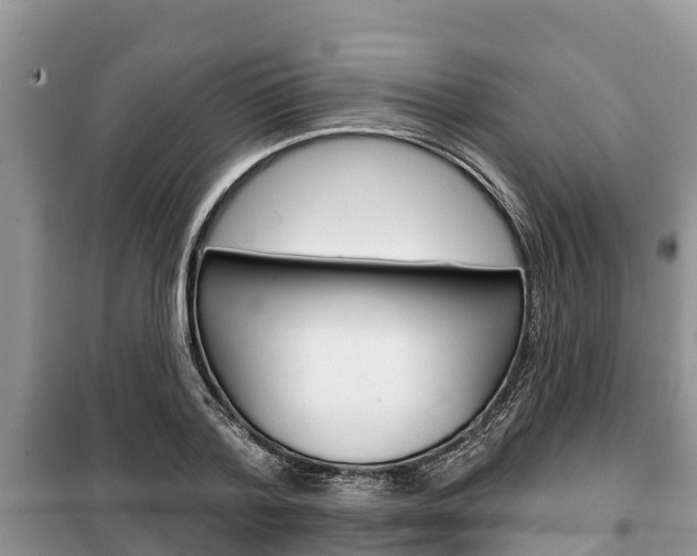 X0000100470788200806130753