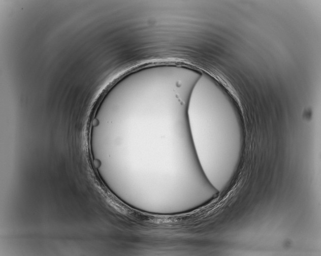 X0000100470789200806130753