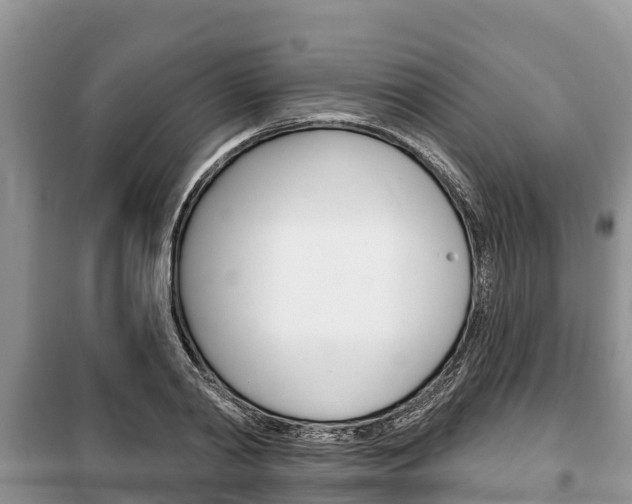 X0000100470790200806130753