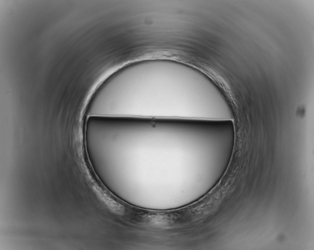 X0000100470792200806130753