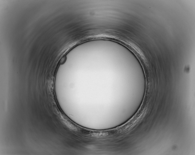 X0000100470793200806130753
