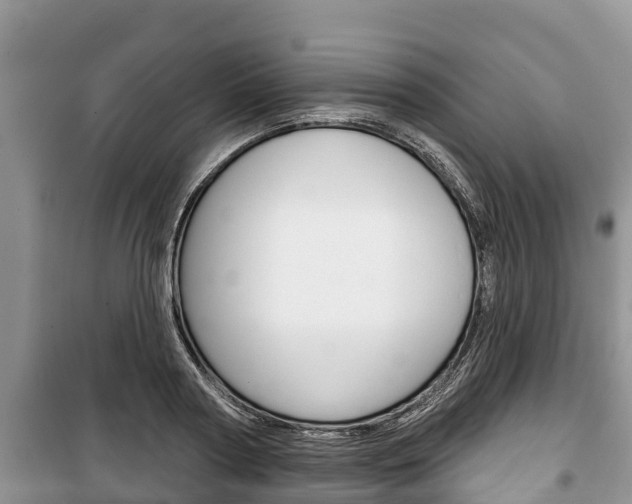 X0000100470794200806130753