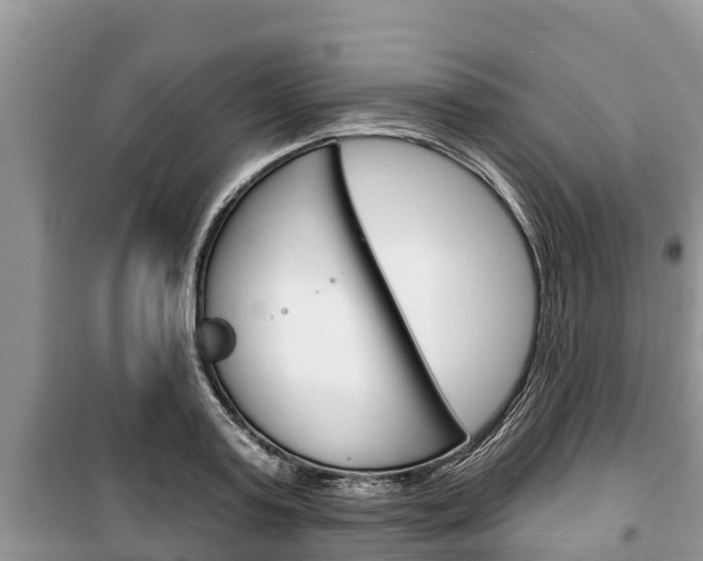 X0000100470795200806130753
