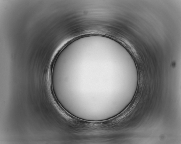 X0000100470796200806130753