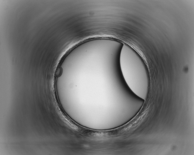 X0000100470797200806130753