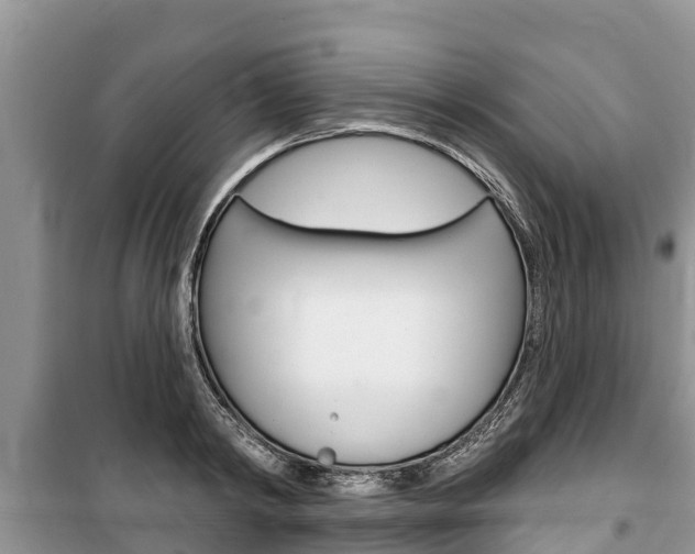 X0000100470798200806130753
