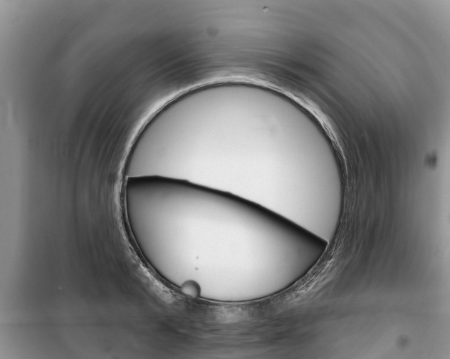 X0000100470799200806130753