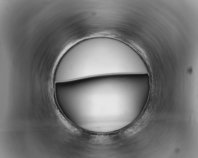 X0000100470800200806130753