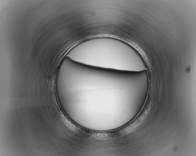 X0000100470801200806130753
