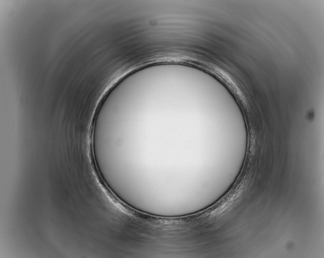 X0000100470802200806130753