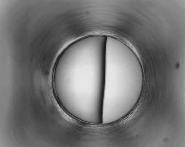 X0000100470803200806130753