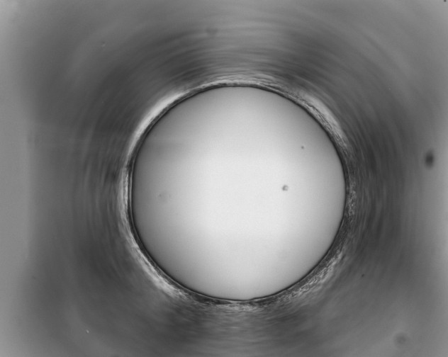 X0000100470804200806130753