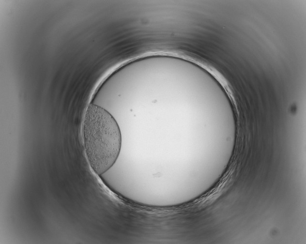 X0000100470807200806130753
