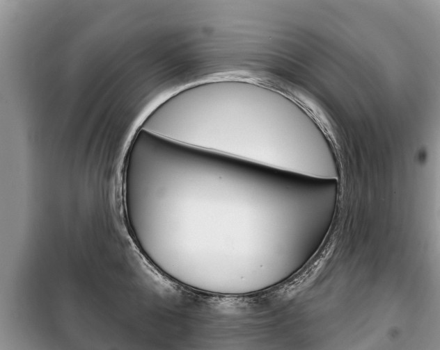 X0000100470808200806130753