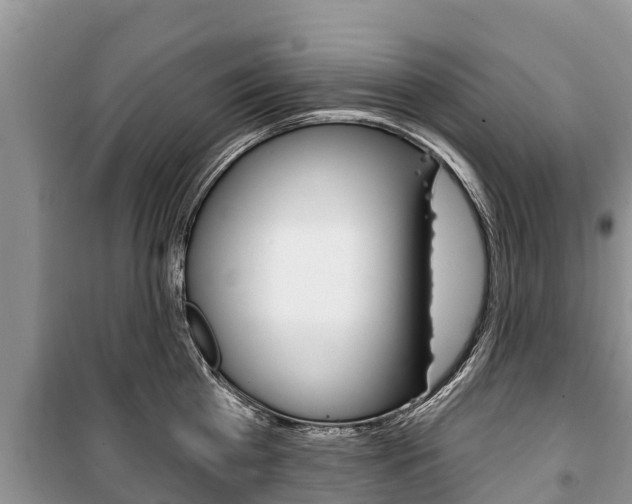 X0000100470809200806130753