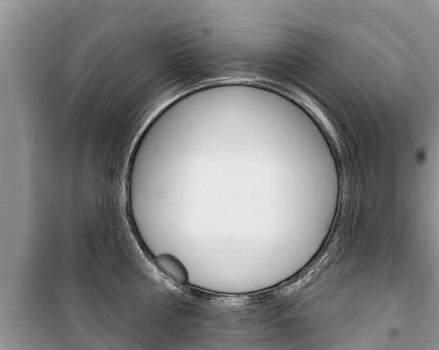 X0000100470810200806130753