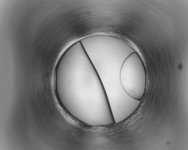 X0000100470811200806130753