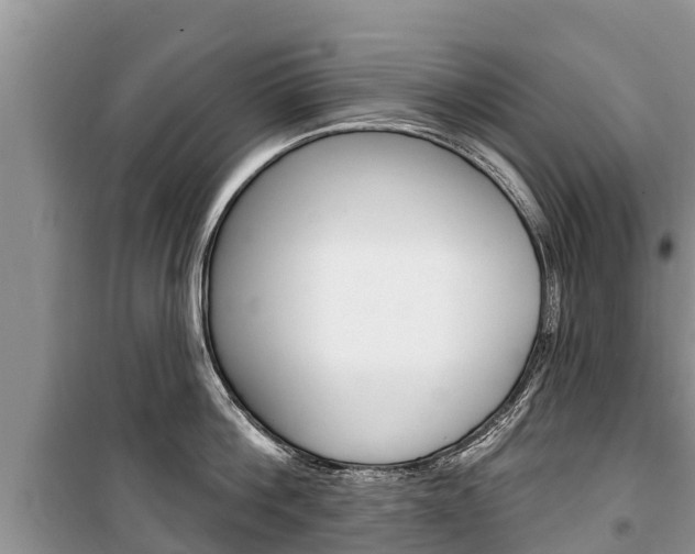 X0000100470812200806130753