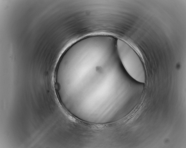 X0000100470813200806130753