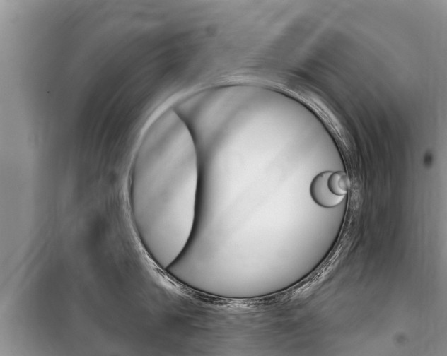 X0000100470814200806130753