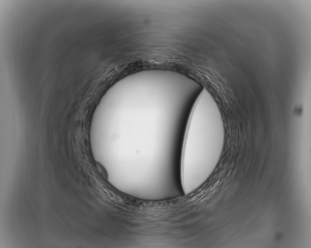 X0000100470817200806130752