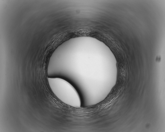 X0000100470818200806130752