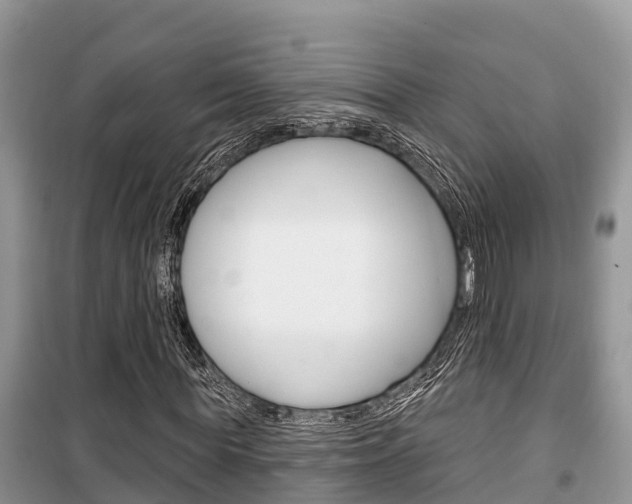 X0000100470819200806130752