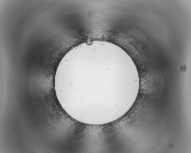 X0000100470820200806130752