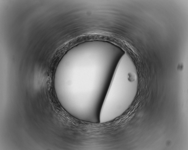X0000100470821200806130752