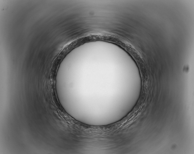 X0000100470822200806130752