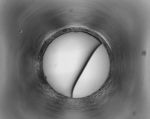 X0000100470823200806130752
