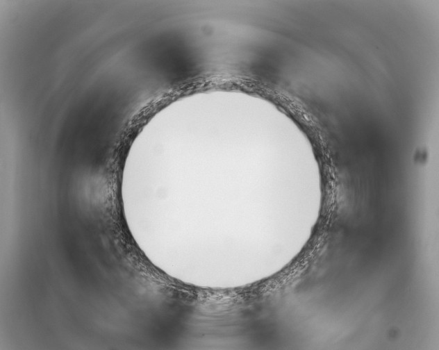 X0000100470824200806130752