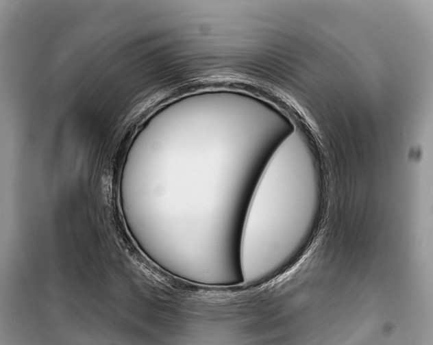 X0000100470825200806130753
