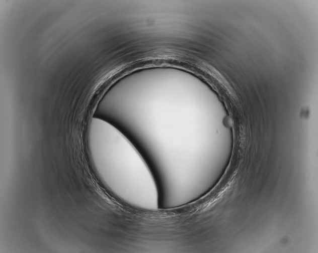 X0000100470826200806130753