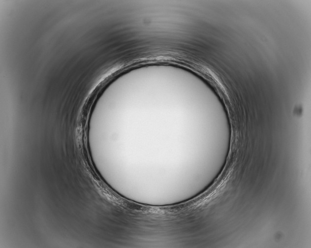 X0000100470827200806130753