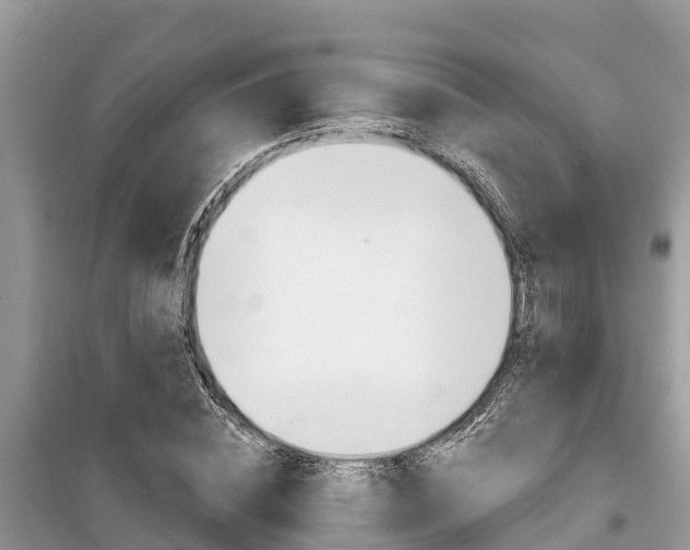 X0000100470828200806130753