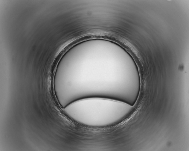 X0000100470829200806130753