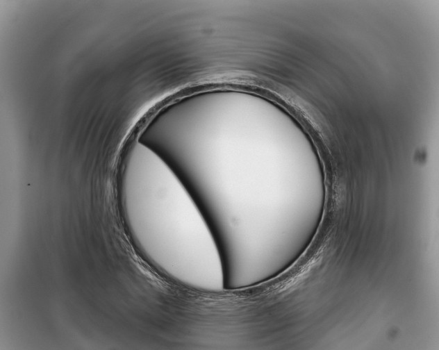 X0000100470830200806130753
