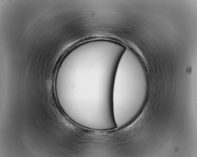 X0000100470831200806130753