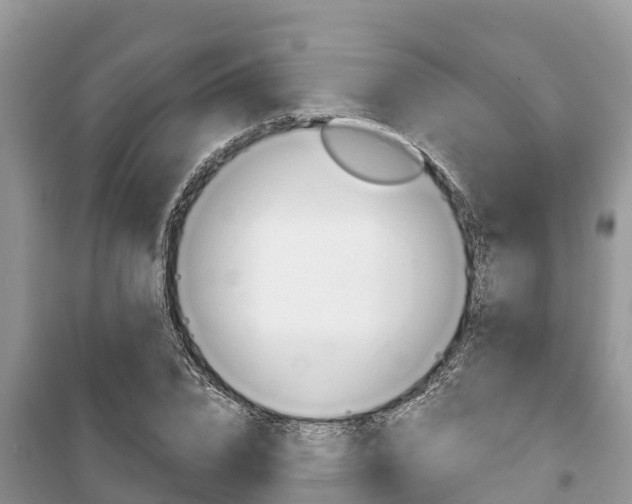 X0000100470832200806130753