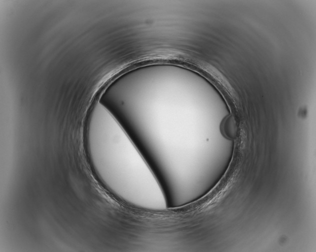 X0000100470834200806130753