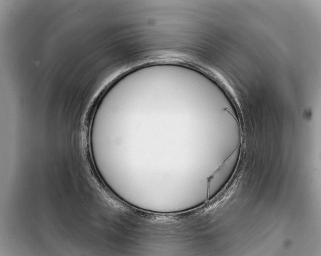 X0000100470835200806130753