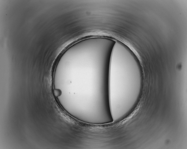 X0000100470837200806130753
